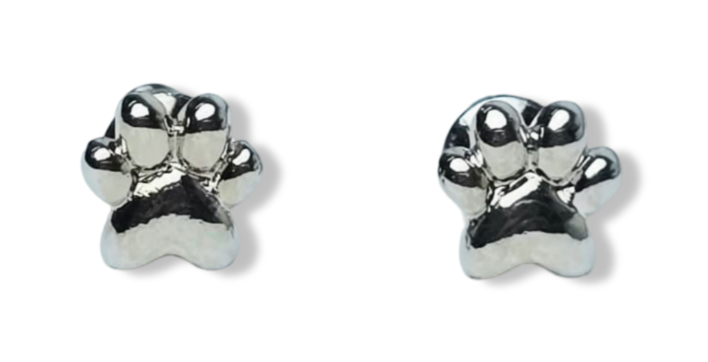 ARETE HUELLITA PET PLATEADO