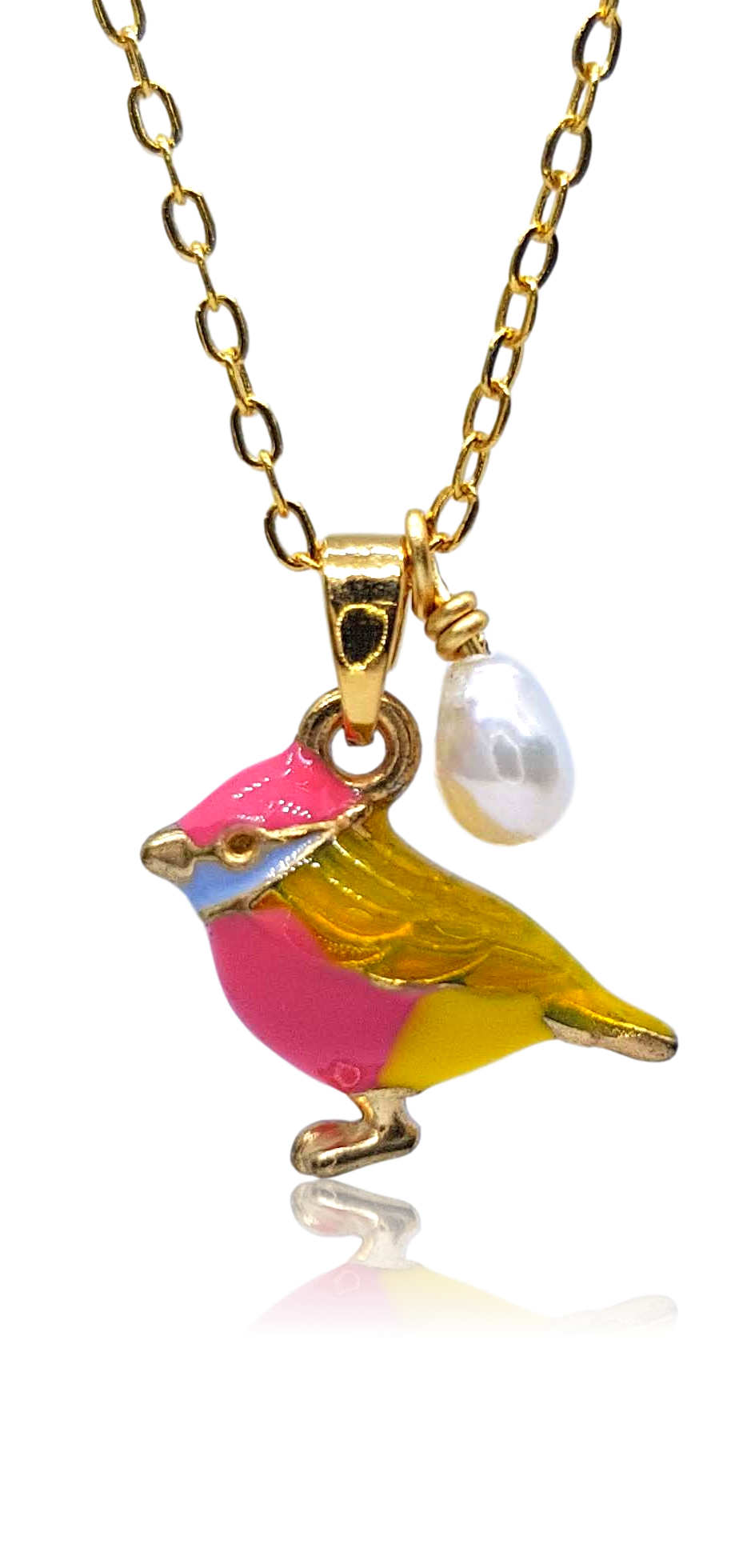 COLLAR BIRD SPRING